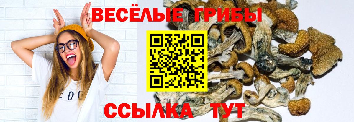 наркошоп  Псилоцибиновые грибы Psilocybine cubensis  Вход с VPN  Шахты 